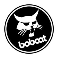Bobcat_4[1]
